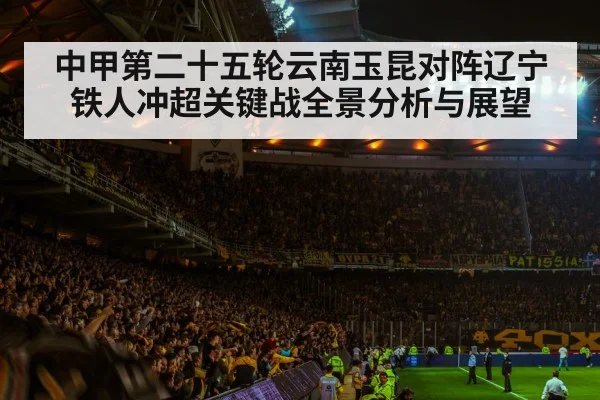 soccer stadium crowd atmosphere（ky）