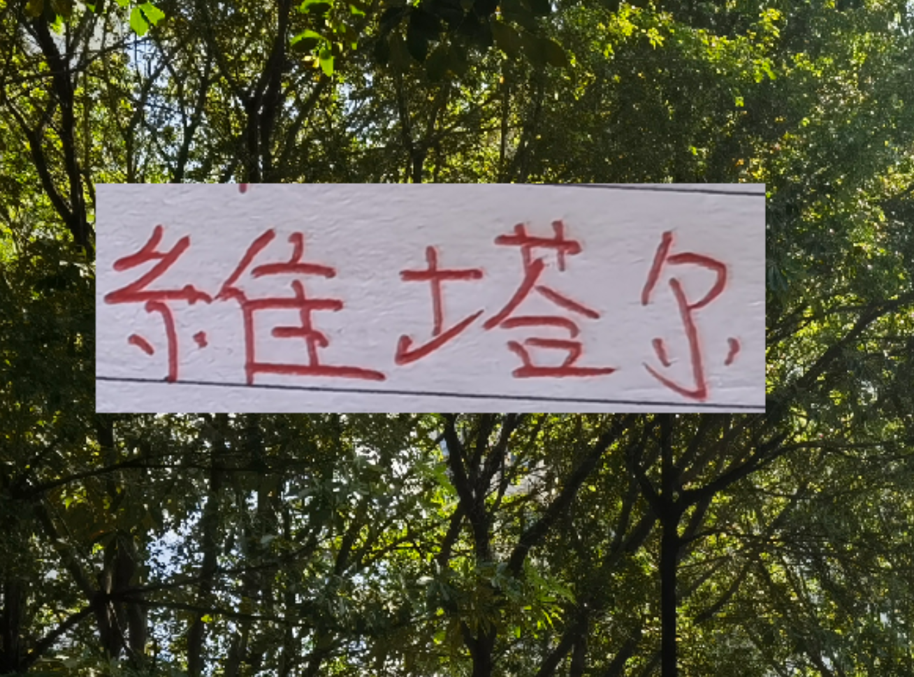 开云-上个赛季中超前4的十号 就海港10号维塔尔助攻最多 出场也最多